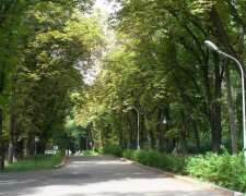 У Києві перейменували парк імені Пушкіна - тепер він названий на честь українського письменника