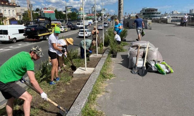 Кизильник та бірючина поглинатимуть бруд: на Подолі втілюють проєкт Зелена стіна