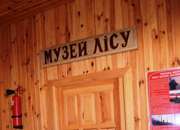 У найстарішому лісництві Києва облаштовують Музей лісу – лісівники знайшли старі документи