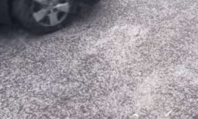 Зима вже тут: у Києві випав перший сніг