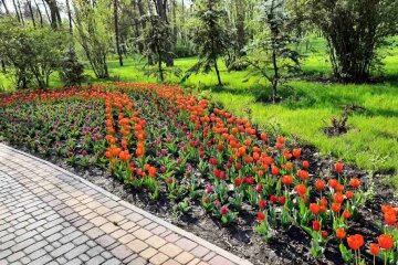 Озеро та море квітів: парк Пуща-Водиця готується до зустрічі з киянами
