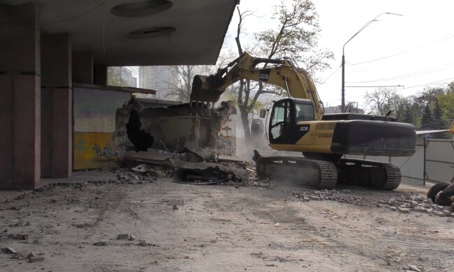 Лева та зубра приберуть: у Київському зоопарку демонтують центральний вхід