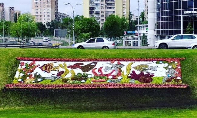 Казки з квітів: арт-об`єкти у парку Перемога та акваріум на Лівобережній (фото)