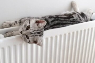 Невдовзі почнеться опалювальний сезон: в КМДА назвали точну дату