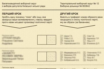 Як правильно заповнювати виборчий бюлетень: покрокова відеоінструкція