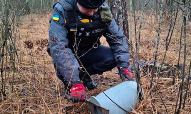 В Київській області сапери вилучили бойову частину БпЛА «Герань»-2