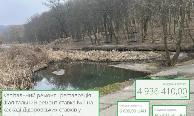 "Київзеленбуд" вирішили провести чистку та облагородження одного зі ставків Голосієва за понад ₴5 млн