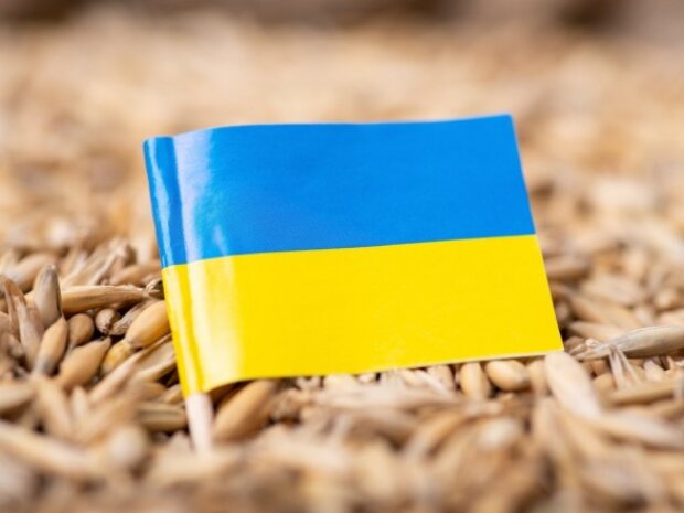 Посол України заявив, що Туреччина купує в росії крадене українське зерно