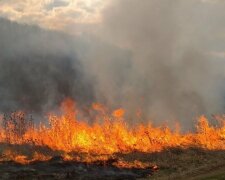 Через спеку на Закарпатті – понад 30 пожеж на день
