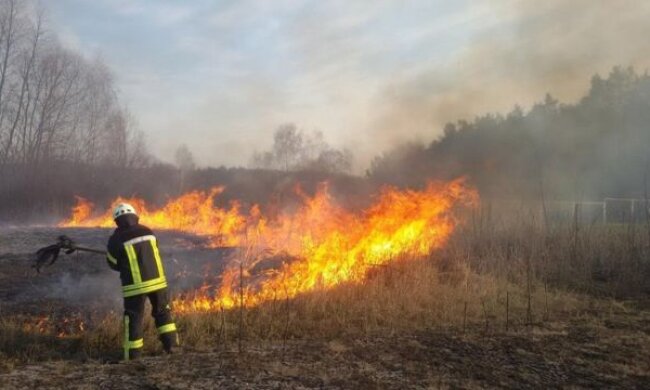 Весняні пожежі в Україні здебільшого стаються з вини людей