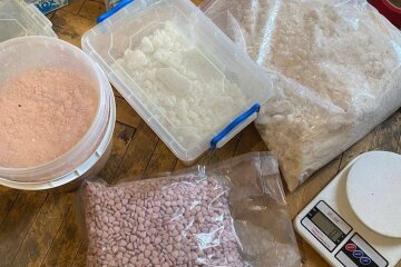 Наркотики у вазонах: на Київщині та Рівненщині накрили мережу з товаром на 20 млн грн