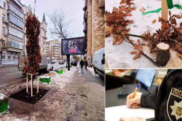 Поліція Києва відкрила справу за фактом знищення дуба, посадженого у пам'ять про загиблого Романа Ратушного