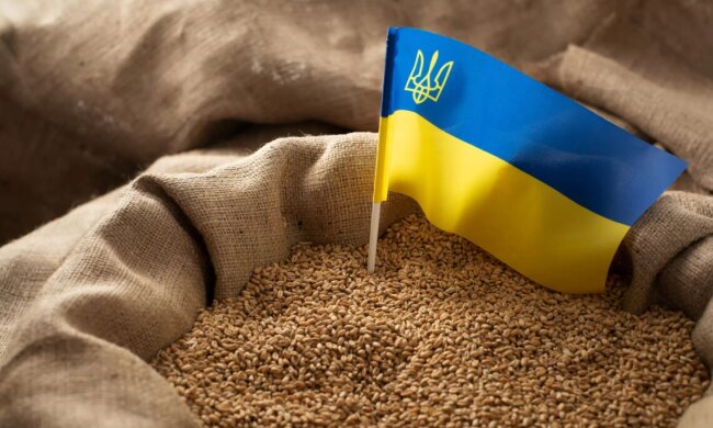Словаччина призупиняє імпорт українського зерна, а Угорщина влітку може продовжити заборону
