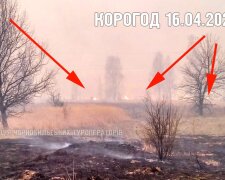 Через шквальний вітер в Чорнобилі відновились пожежі