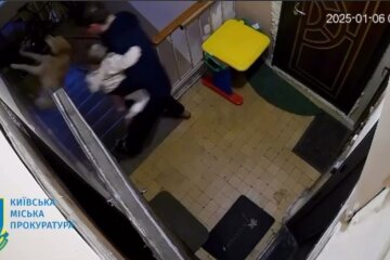 У Києві засуджено чоловіка, який жорстоко поводився та вбив безпритульного пса