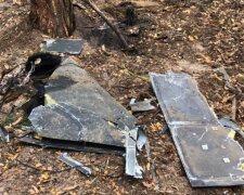 На Київщині знайшли уламки дрона-камікадзе "Герань-2"
