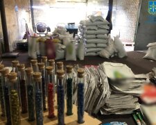 На Київщині викрили шахраїв, що підробляли різні сорти насіння під виглядом відомих брендів