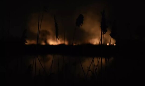 Пожежа в екопарку Осокорки — активісти та політико-громадські діячі стверджують, що це підпал