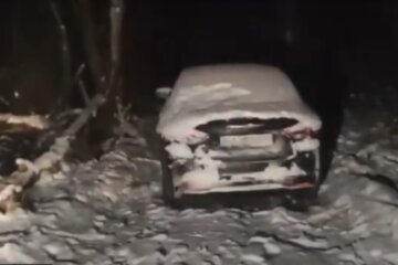 Зниклий столичний житель знайдений убитим на Київщині (відео)