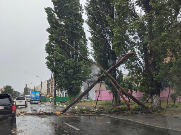 Найвищий рівень небезпеки: у Києві оголосили штормове попередження