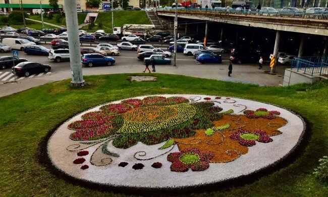 Неймовірно: київські клумби перетворились на українські вишиванки (фото)