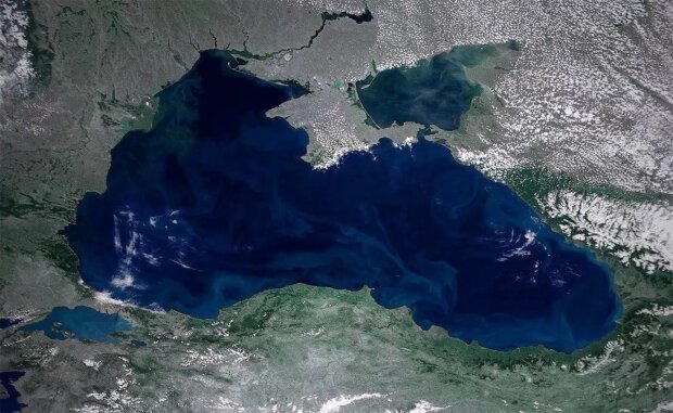 Туреччина заявила про відсутність потреби в розмінуванні моря для вивезення зерна
