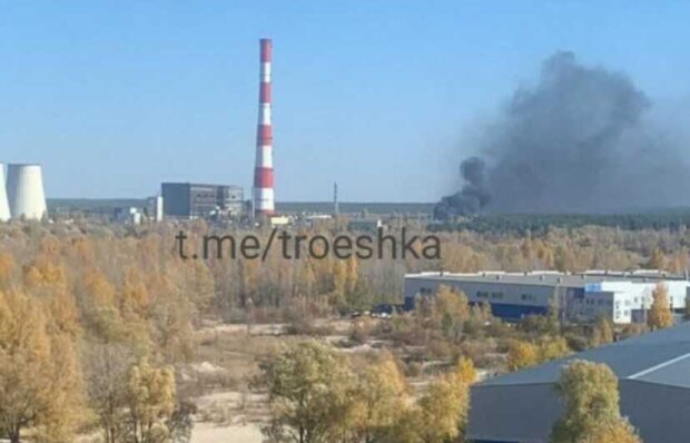 У лісовому парку “Берізка” в Києві сталась пожежа