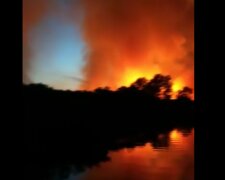 На Херсонщині палає національний парк Нижньодніпровський (відео)