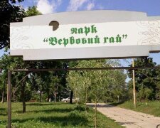 У Києві привласнили гроші на ремонт парку
