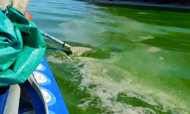 Кияни пропонують зайнятися розчищенням Дніпра