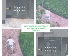 Собаку купили, виховання не купили. На Виноградарі малолітній знущався над цуценям