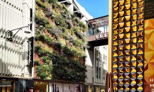 Шведи безкоштовно допоможуть створити "живі стіни" на будинках столиці