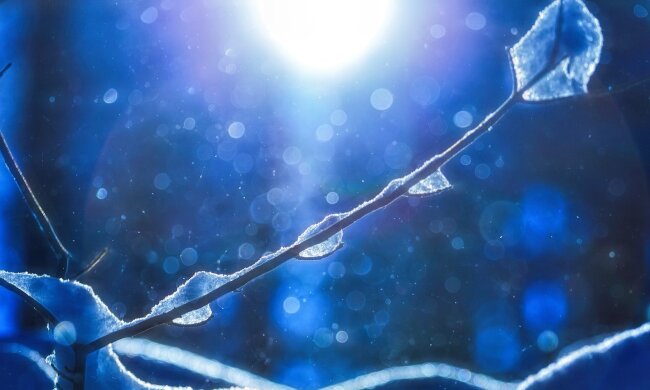 Тепло повернеться до Києва вже цими вихідними