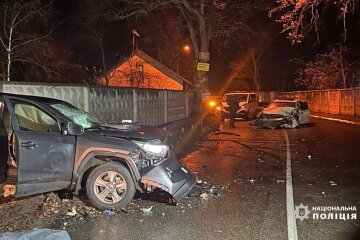 Поліція затримала 20-річну водійку, чиї дії спричинили смертельну ДТП в Голосіївському районі