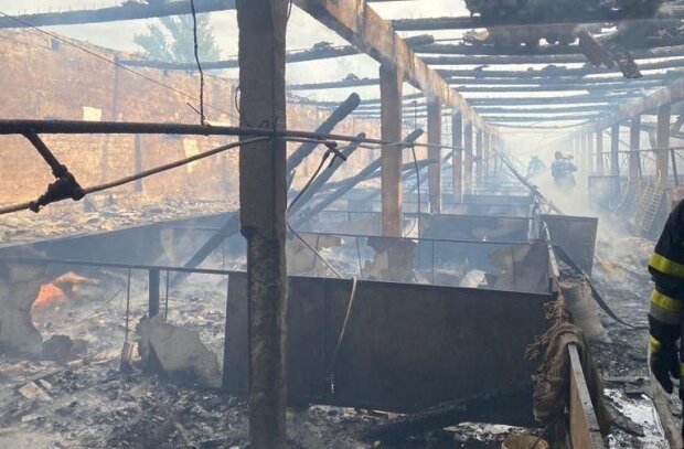 На фермі під Києвом сталась масштабна пожежа, згоріла худоба