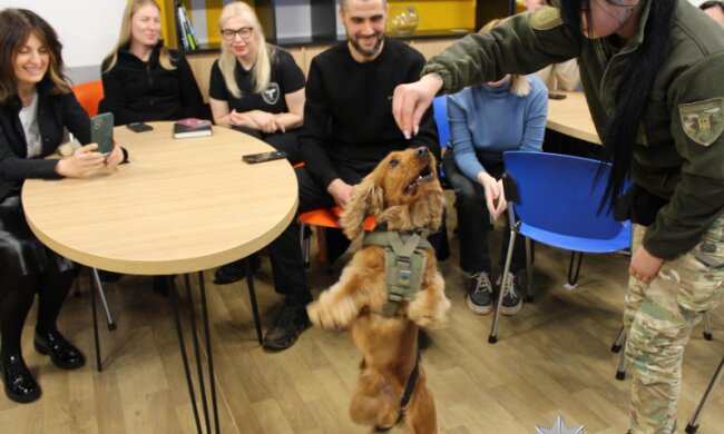 Собаки, як ліки для поранених сердець: як поліцейські пси підтримали молодь МДУ у стресі