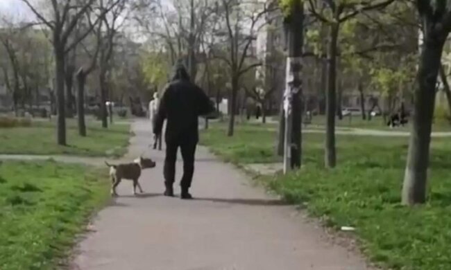 Затримали власника стаффордшира, який загриз маленьку собаку