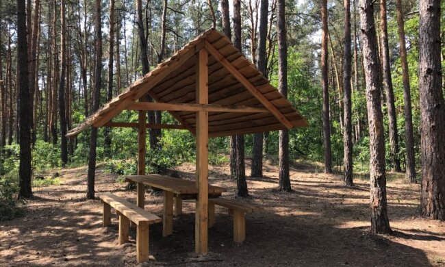 Попереду вихідні: де в Києві влаштувати родинний пікнік (перелік локацій)