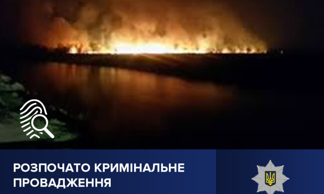 Поліція Києва розпочала кримінальне провадження за фактом пожежі на території ландшафтного заказника «Осокорківські луки»