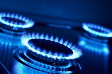 Володимир Зеленський: ціна газу для українців знизиться більш ніж на 30 відсотків