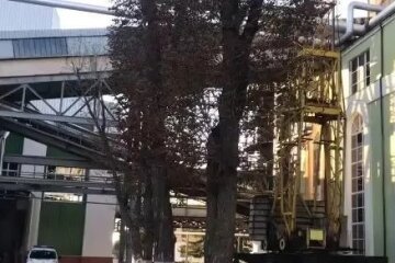 На Київщині трапився вибух на заводі, є постраждалі