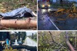 У Києві штормовий вітер валить дерева, відриває шматки конструкцій, рухає сміттєві баки - є травмовані та загиблі