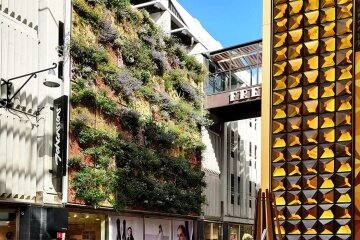 Шведи безкоштовно допоможуть створити "живі стіни" на будинках столиці