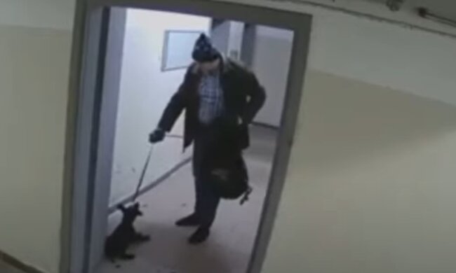 Киянин жорстоко побив цуценя (відео)