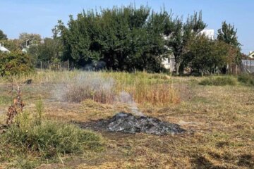 У вересні патрульні Київщини склали 16 протоколів на паліїв трави та листя