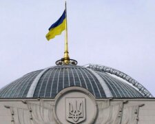 У партіях Зеленського, Вакарчука і Тимошенко побачили прообраз коаліції