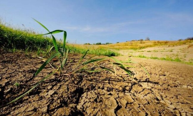 Опустелювання загрожує щонайменше 39 мільйонам гектарів українських сільськогосподарських земель