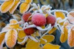 У Київській області значно погіршиться погода