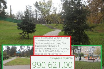 "Київзеленбуд" за майже ₴1 млн замовив розробку проєкту з оновлення парку на ДВРЗ