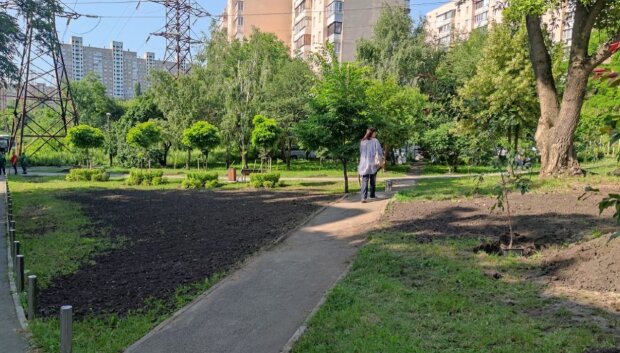 У Подільському районі висадили новий сквер на честь загиблих у війні журналістів, операторів та медійників